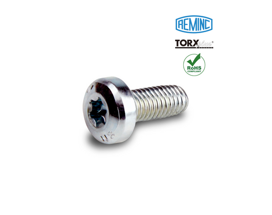 Vis TAPTITE 2000®, Tête cylindrique bombée TORX PLUS® AUTOSERT®, CORFLEX® N™

