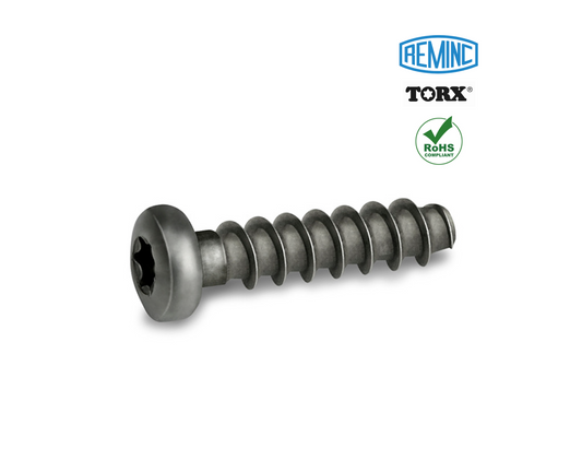Vis REMFORM®, Tête cylindrique bombée, TORX®, Inox A2